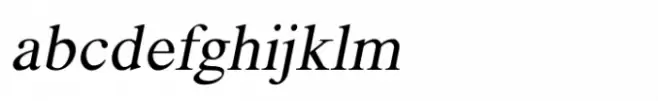 Shree Devanagari 1224 Italic