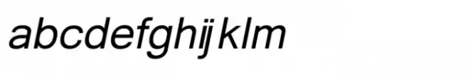 Shree Devanagari 1279 Bold Italic