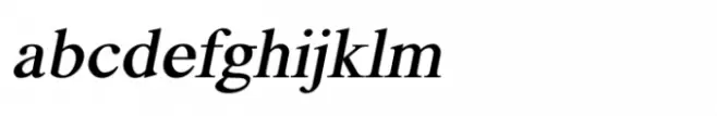 Shree Devanagari 4521 Italic