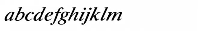 Shree Devanagari 4571 Italic
