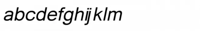 Shree Devanagari 4577 Italic