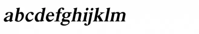 Shree Gujarati 1118 Bold Italic