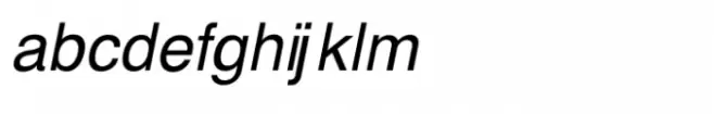 Shree Gujarati 1152 Bold Italic