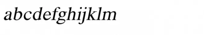 Shree Kannada 0893 Italic