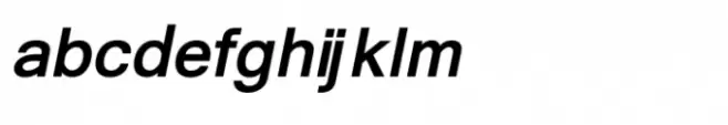Shree Malayalam 1860 Bold Italic