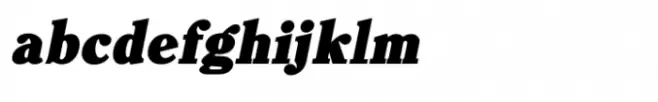 Shree Malayalam 3250 Italic