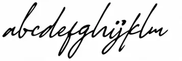 Stylish Classy Italic