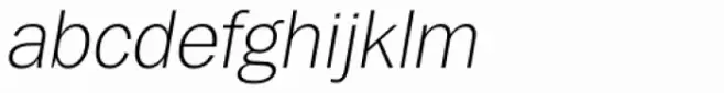Tee Franklin Light Oblique