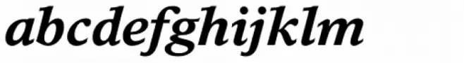 Times Europa Bold Italic