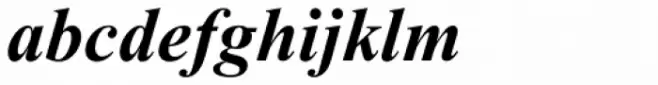 Times New Roman PS Pro Bold Italic