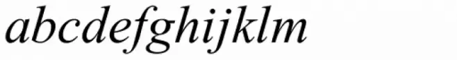 Times New Roman PS Std Italic
