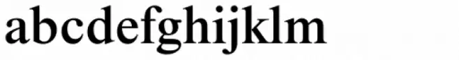 Times New Roman Std Medium
