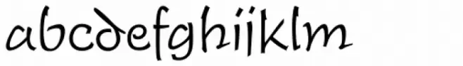 Tioga Script Pro Light