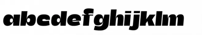 Total Black Heavy Italic