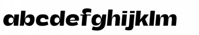 Total Black Semi Bold Italic