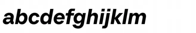 TT Neoris DemiBold Italic
