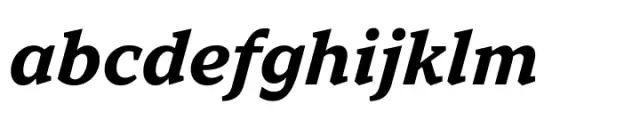 TT Norms Pro Serif Bold Italic