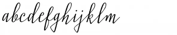 Typnic Script Swash