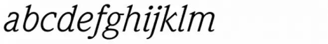 Weidemann Pro Book Italic