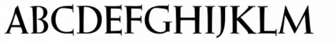 Wellsbrook Initials SG Heavy