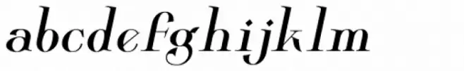 Wolverton Text No.2 Oblique