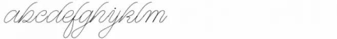 WT Hilton Script Variable