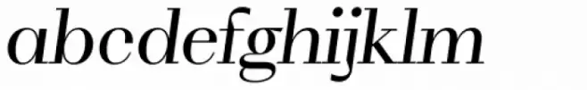 WT Volkolak Serif Poster Light Italic