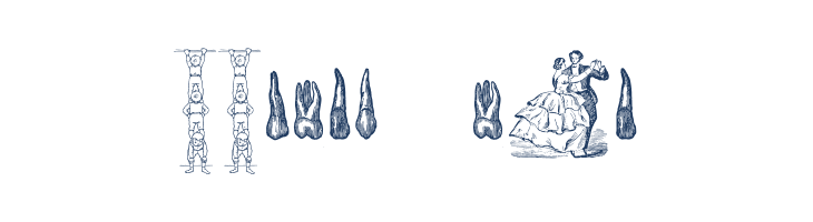 Cornucopia of Dingbats Two font — Lorem ipsum body text preview